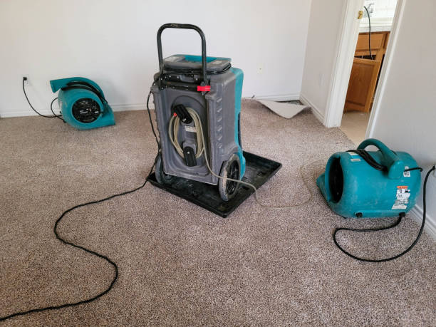 Best 24-hour water damage restoration  in Mount Vernon, NY