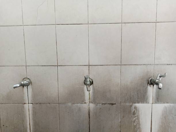 Best Residential water damage restoration  in Mount Vernon, NY