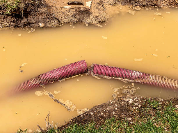 Best Water damage repair service  in Mount Vernon, NY